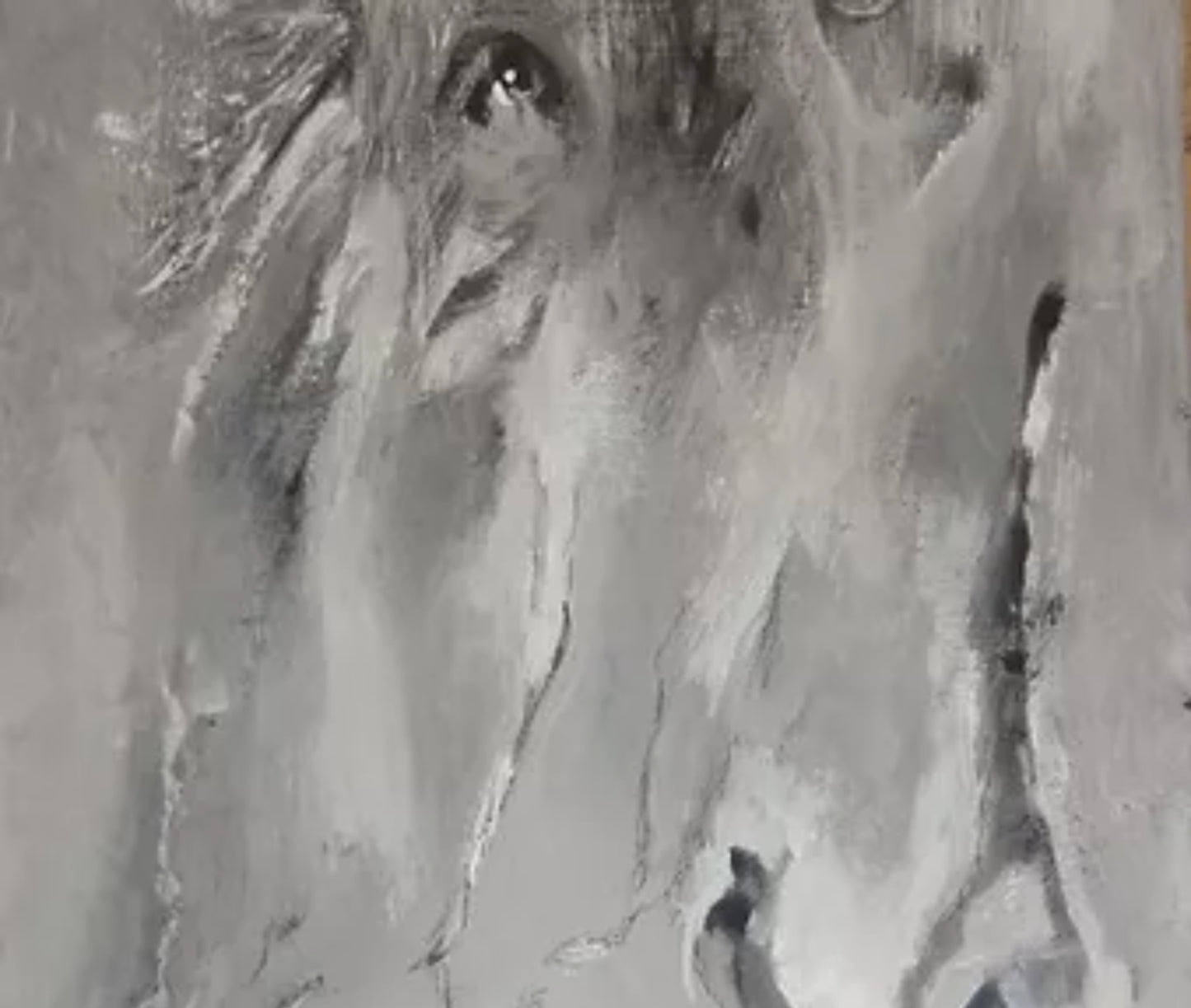 Déchirements