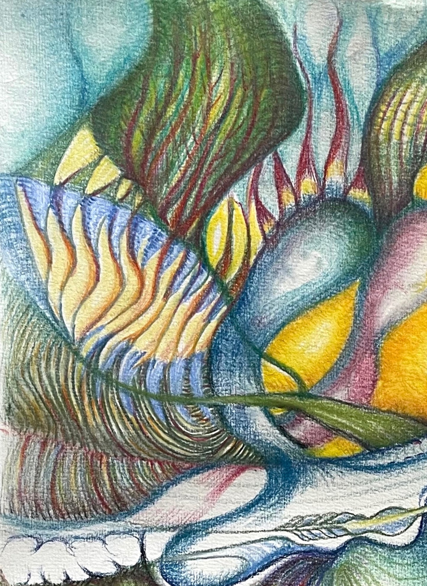 Oiseau de feu