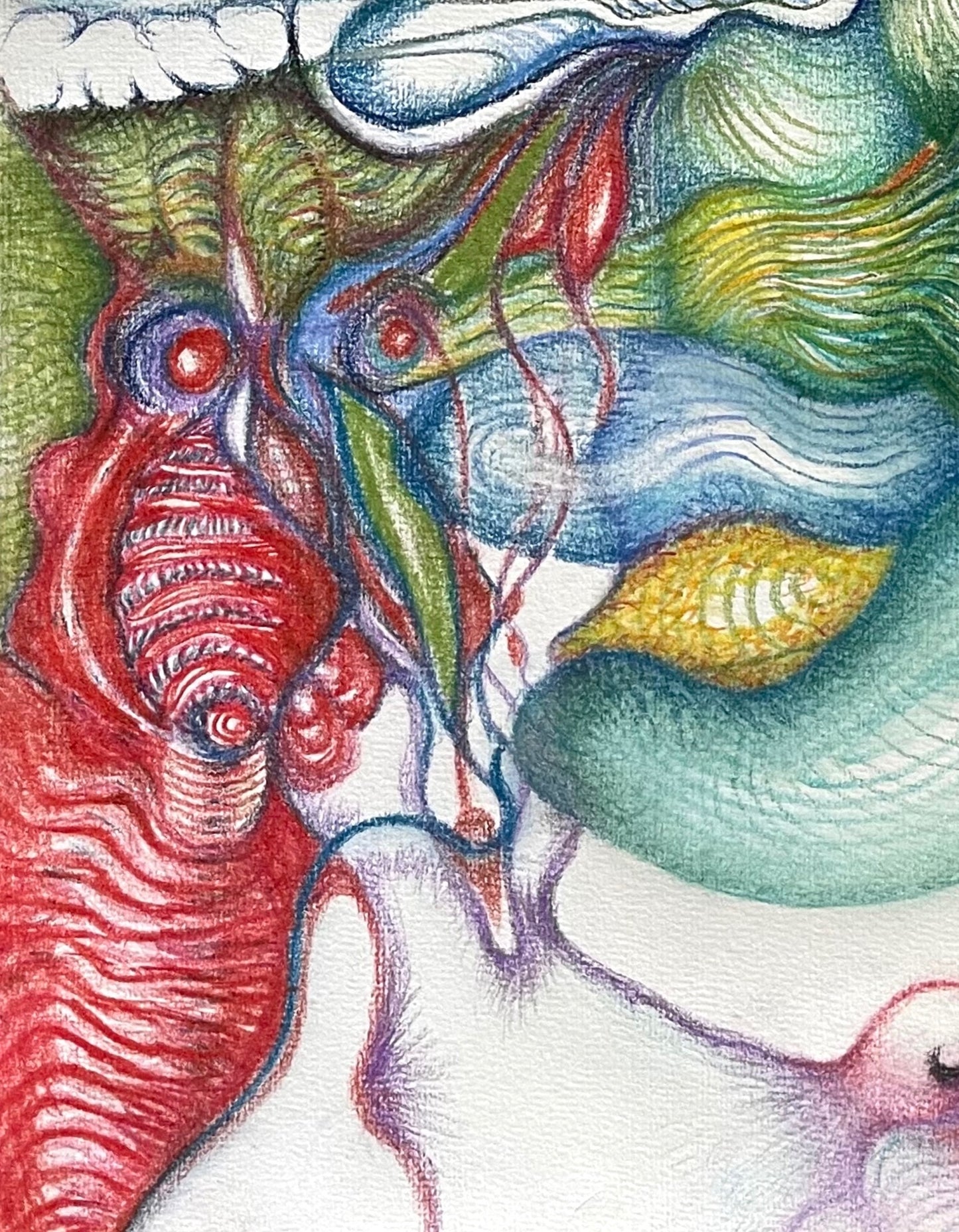 Oiseau de feu