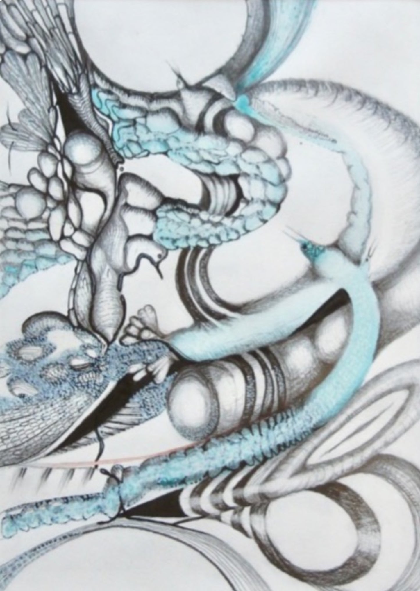 Volutes