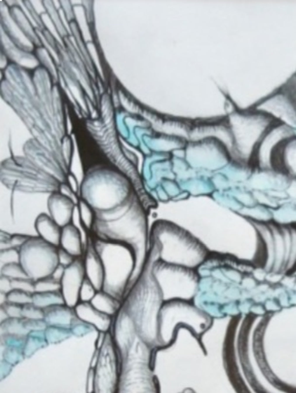Volutes