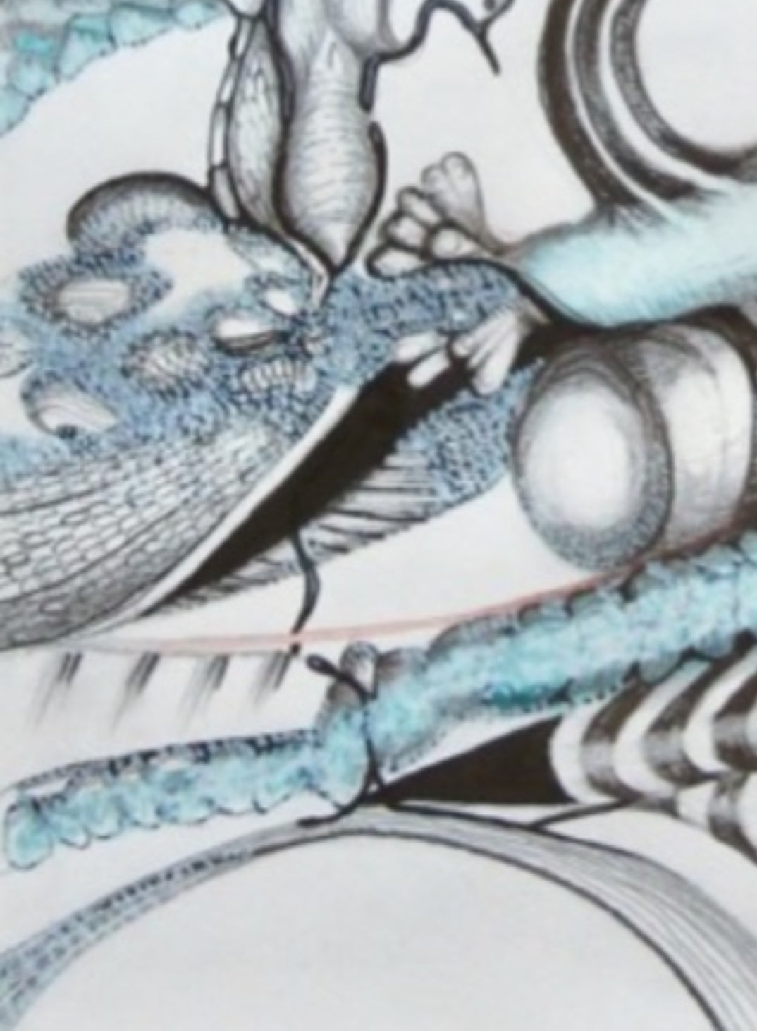 Volutes