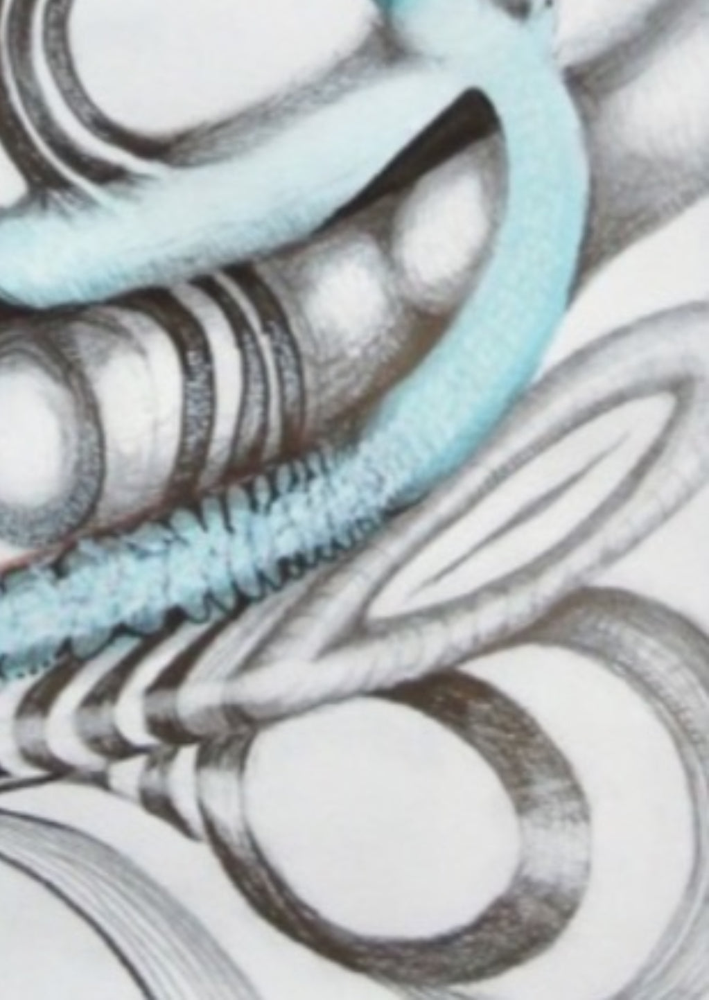 Volutes