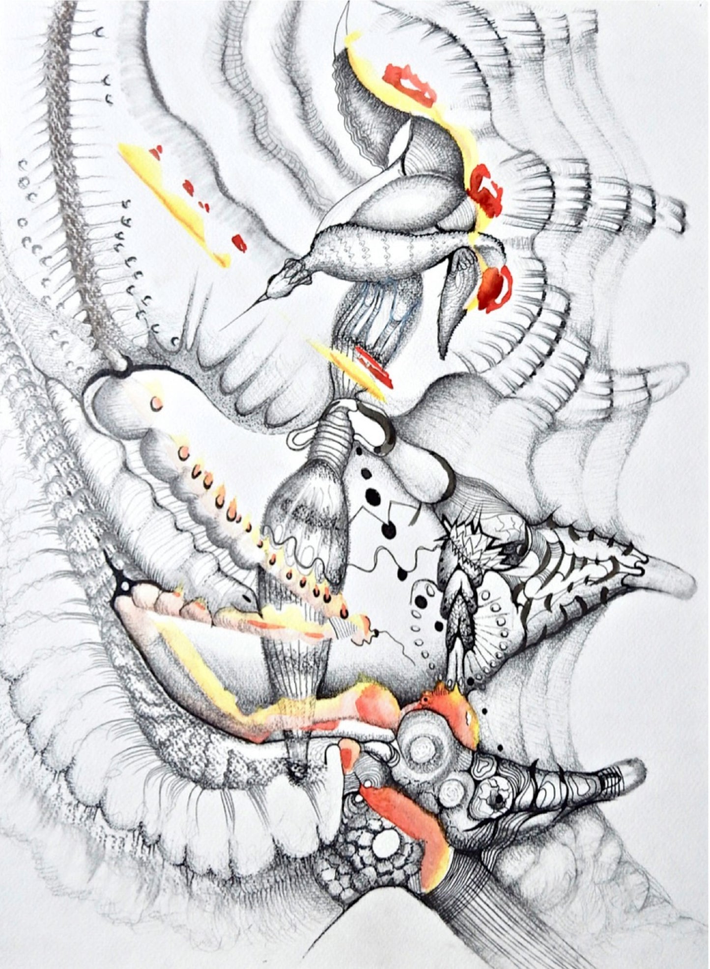 Birds diptych